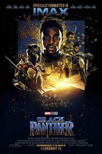 Black Panther (2018) BluRay Dual Audio Hindi 720p [1.2Gb] || 480p [400MB] download