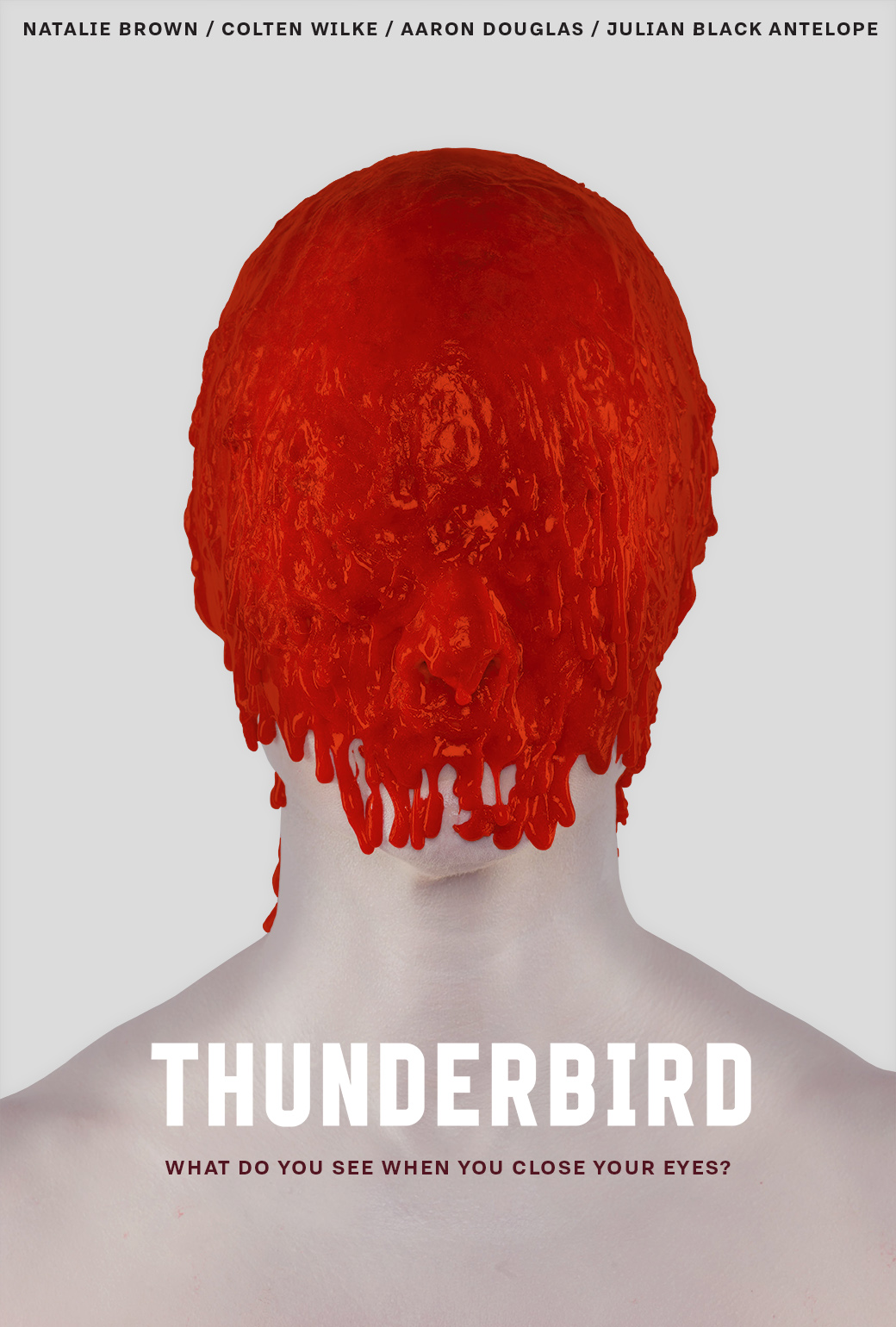 Thunderbird 2019 WEBRip Dual Audio Hindi Unofficial 720p [1XBET] download