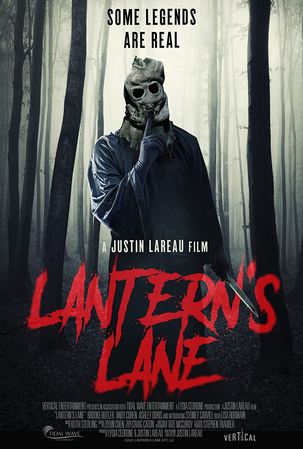 Lantern’s Lane 2021 WEBRip Dual Audio Hindi Unofficial 720p [1XBET] download