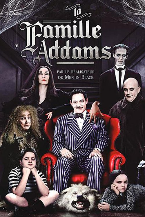 Download The Addams Family (1991) BluRay Dual Audio Hindi Extended 1080p | 720p | 480p [500MB] download