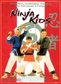 Download 3 Ninjas (1992) BluRay Dual Audio Hindi ORG 1080p | 720p | 480p [350MB] download