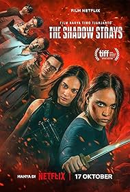 Download The Shadow Strays (2024) WEB-DL Dual Audio Hindi NetFlix Original 1080p | 720p | 480p [500MB] download