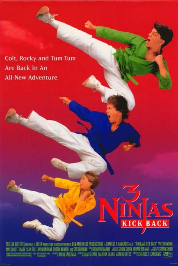 Download 3 Ninjas (1992) BluRay Dual Audio Hindi 1080p | 720p | 480p [400MB] download