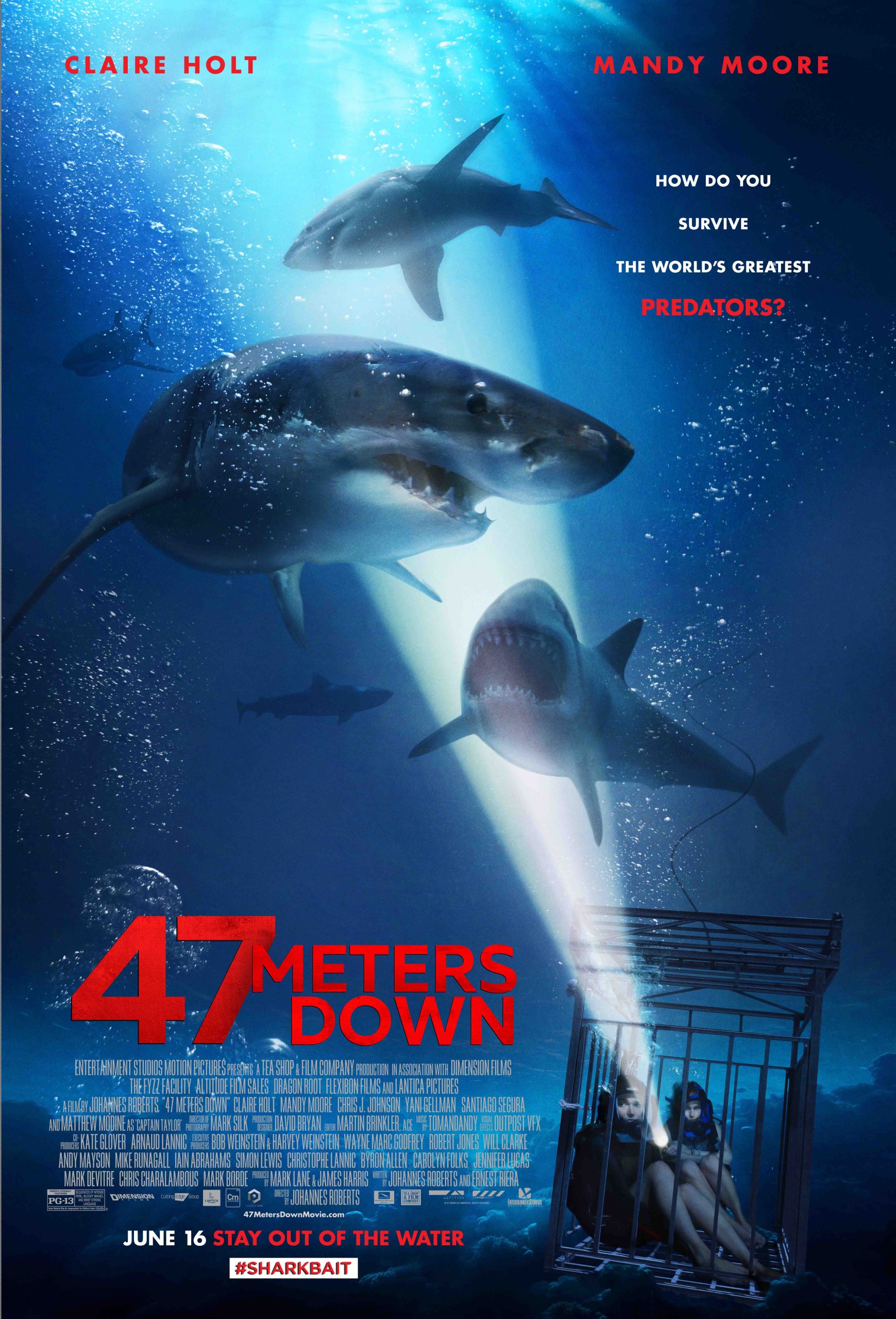 Download 47 Meters Down (2017) BluRay EXTENDED-Dual Audio Hindi 1080p | 720p | 480p [250MB] download