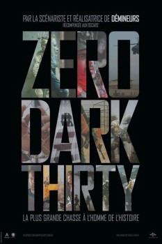 Download Zero Dark Thirty (2012) HDRip Hindi ORG Dubbed 1080p | 720p | 480p [500MB] download