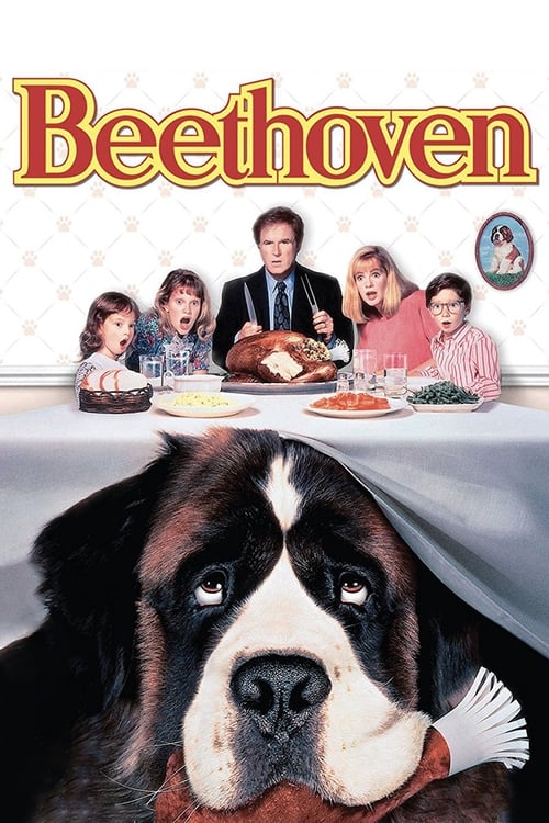 Download Beethoven (1992) BluRay Dual Audio Hindi 1080p | 720p | 480p [300MB] download